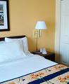 Tn-gon_spri-rooms-1