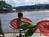 Motel Long Lake & Cottages::TripAdvisor