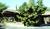 Los Gatos Lodge::Yahoo! Travel