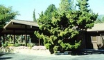 Los Gatos Lodge