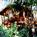 Volcano Village Lodge::BedAndBreakfast.com