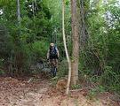 Lake Lurleen State Park