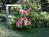 The Inn at Locke House::BedAndBreakfast.com
