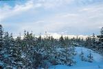 The Lodge at Bretton Woods