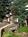 The Stonebridge Inn::ProfessionalTravelGuide.com