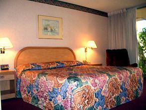 Web-lax_miss-rooms-2