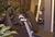 Sheraton Safari Hotel and Suites Lake Buena Vista::Orbitz