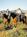 Super 8 Motel - Apache Junction::Orbitz