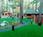 Pinky-backlawn