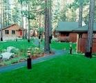 Tn-backlawn