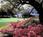 Litchfield Beach and Golf Resort::Orbitz