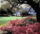 Litchfield Beach and Golf Resort