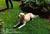 Berry Hill Gardens Bed and Breakfast::BedAndBreakfast.com