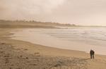 Tn-beach