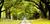 Mansfield Plantation Bed & Breakfast Country Inn::BedAndBreakfast.com