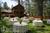 Alpenhorn Bed & Breakfast::BedAndBreakfast.com