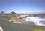 Its Beach::Dogfriendly
