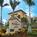 Residence Inn Fort Lauderdale Sw - Miramar::Priceline.com