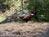 Pheasant Meadow Bed & Breakfast::BedAndBreakfast.com