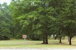 Stewart Park