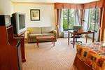 Comfort Suites Tucker