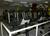 Hilton Garden Inn Phoenix Midtown::Orbitz