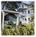 Edgewater Resort::Hotels.com