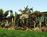 Sportsmen's Lodge::Expedia