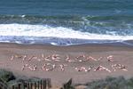 Baker Beach::Barewitness.org