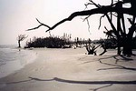 St. Catherines Island