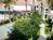 Staybridge Suites Torrance Redondo Beach::Orbitz
