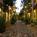 Emerald Suites Nellis::Yahoo! Travel