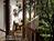 Fire Mountain Inn, Cabins & Treehouses::BedAndBreakfast.com