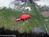 Animal Kingdom::ThemeParksOnline