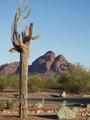 Papago Park::Phoenix.gov