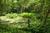 Umlauf Sculpture Garden and Museum::Yahoo! Travel