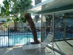 Orange Tree Inn