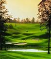 Tn-m11189_golf_02_f