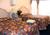 Tropical Shores Beach Resort - Siesta Key from Yahoo! Travel