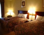 Hampton Inn & Stes Hobbs