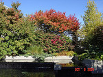 Tn-268291411_a86c4809d1_m