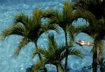 Tn-075302_pool_01_f