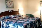 Best Western Dothan Inn & Suites