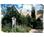 The Garden Cottage Bed & Breakfast::Epinions.com