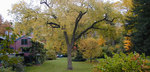 Frederick Law Olmsted National Historic Site::Nps