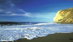 Web-beach