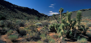 Parashant National Monument::Nps.gov