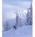 Geiser Grand Hotel::ProfessionalTravelGuide.com