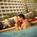 Marriott Marco Island Beach Resort Golf Club and Spa::Orbitz