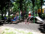 Orton Park